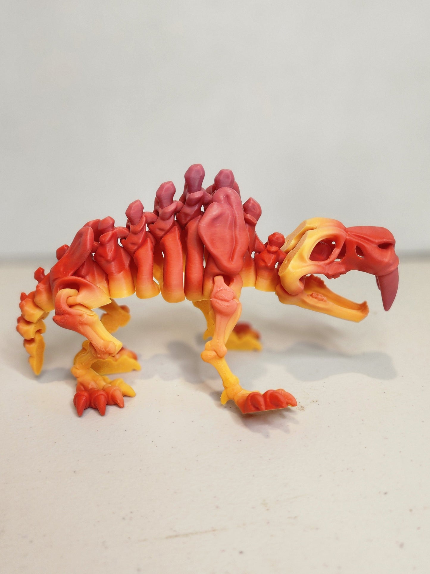 Sabertooth Tiger Skeleton