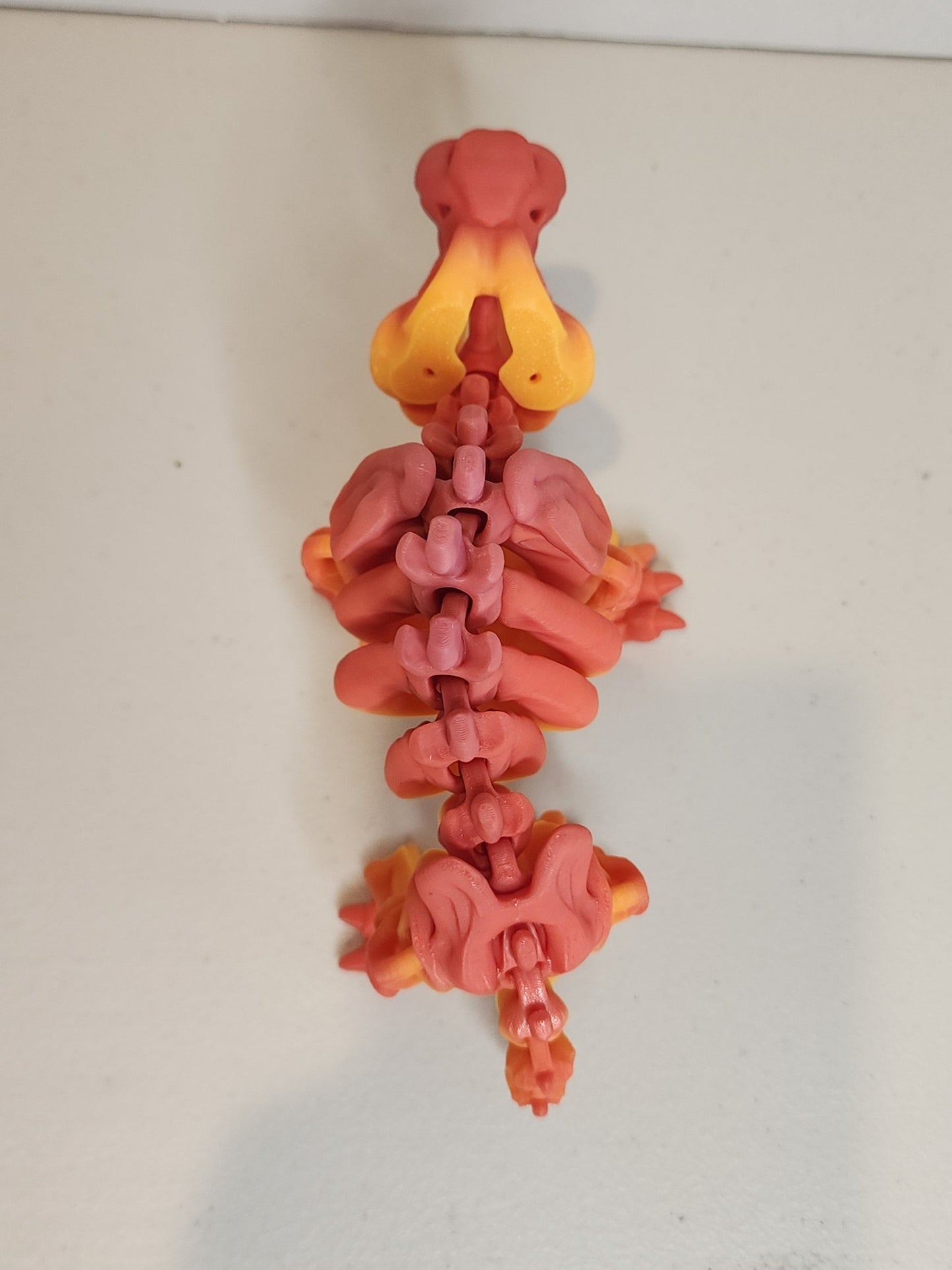 Sabertooth Tiger Skeleton