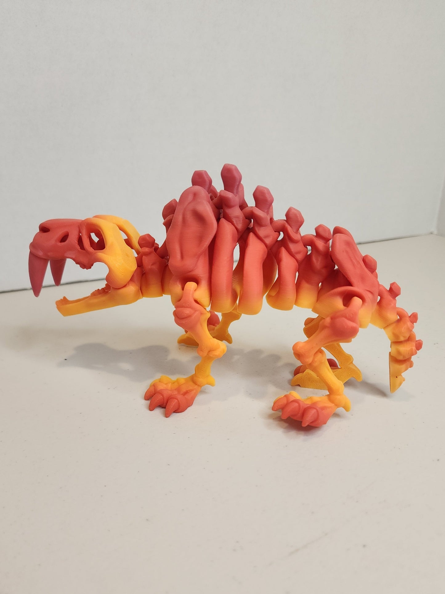 Sabertooth Tiger Skeleton