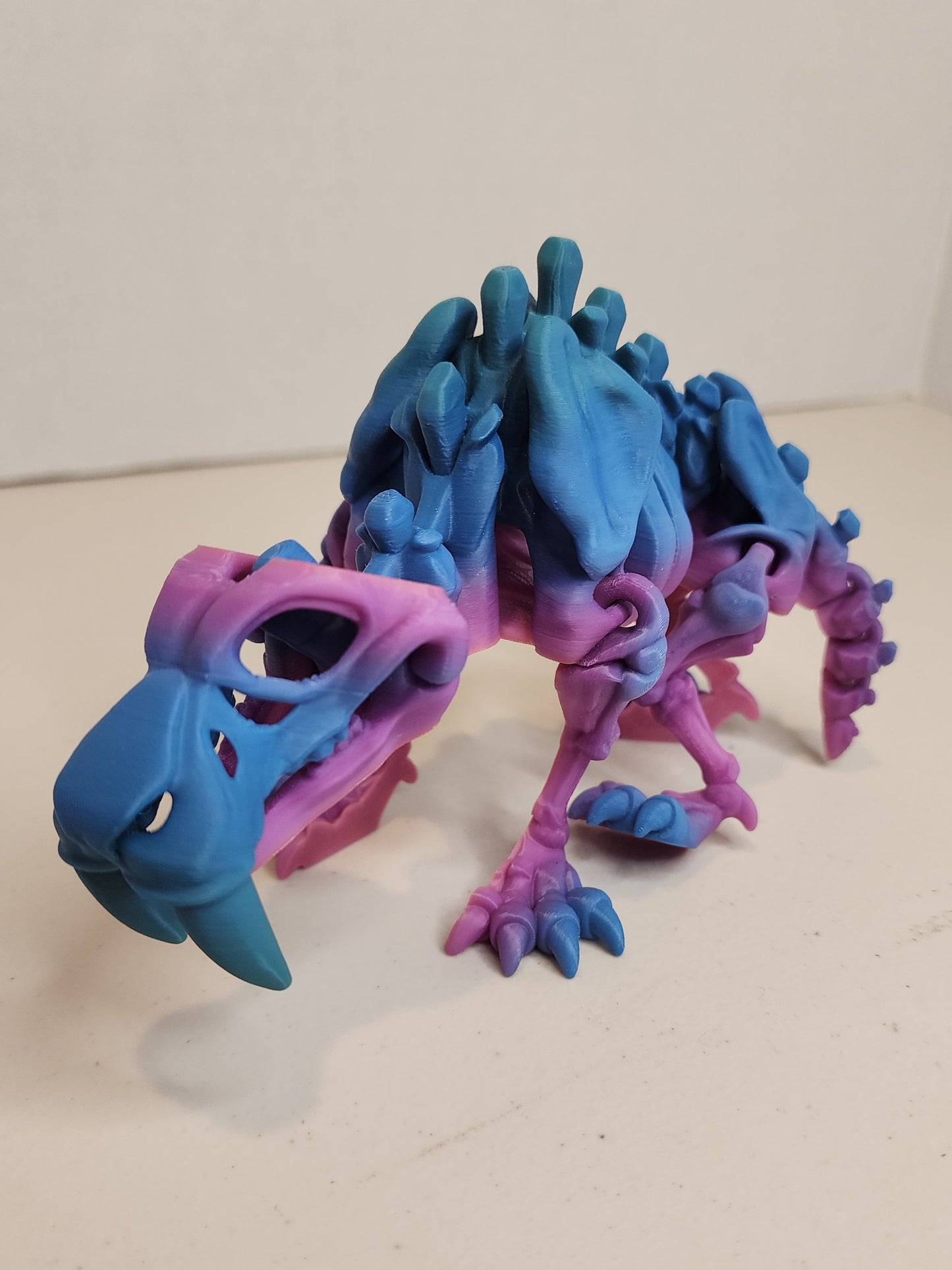 Sabertooth Tiger Skeleton