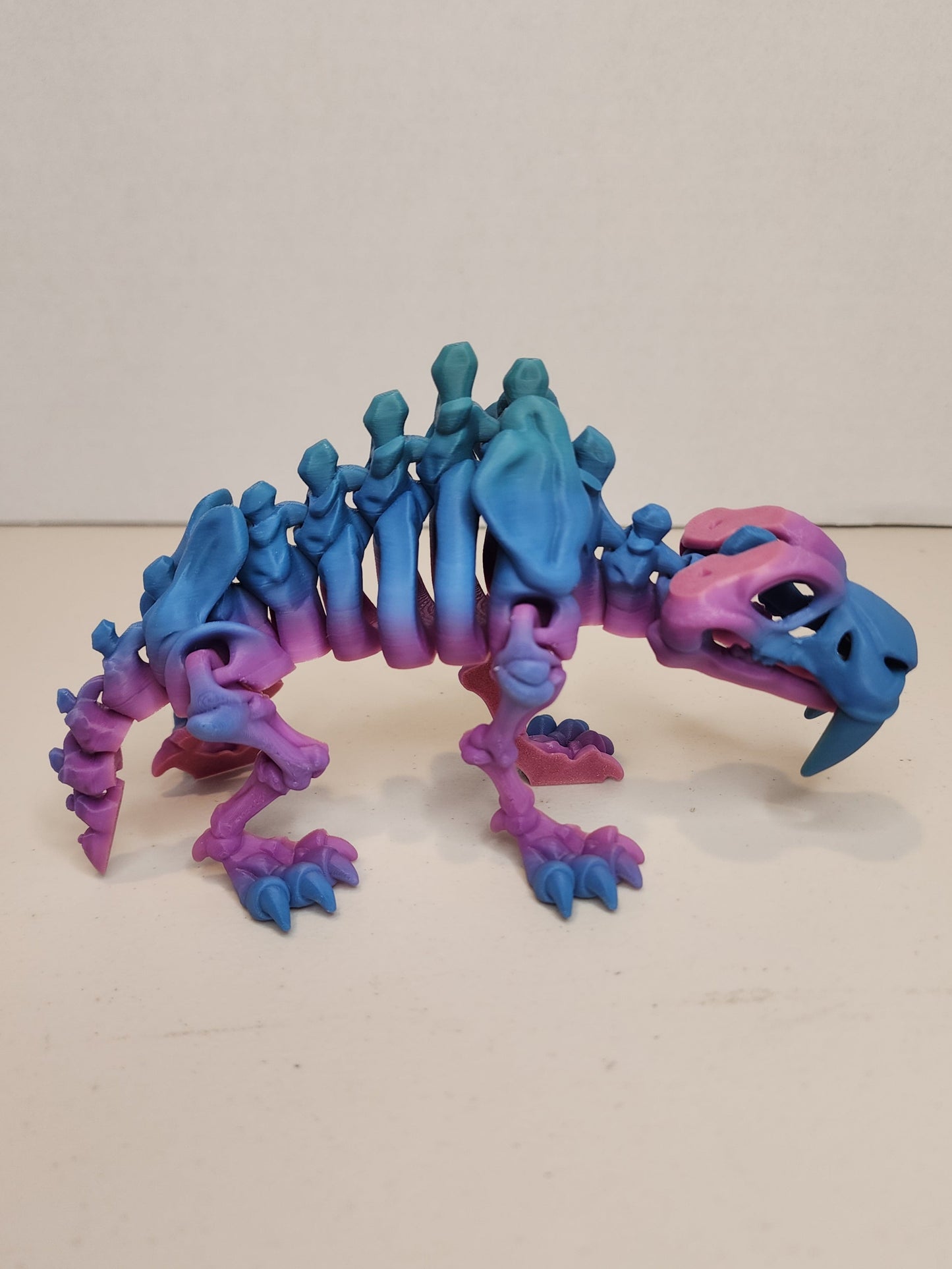 Sabertooth Tiger Skeleton