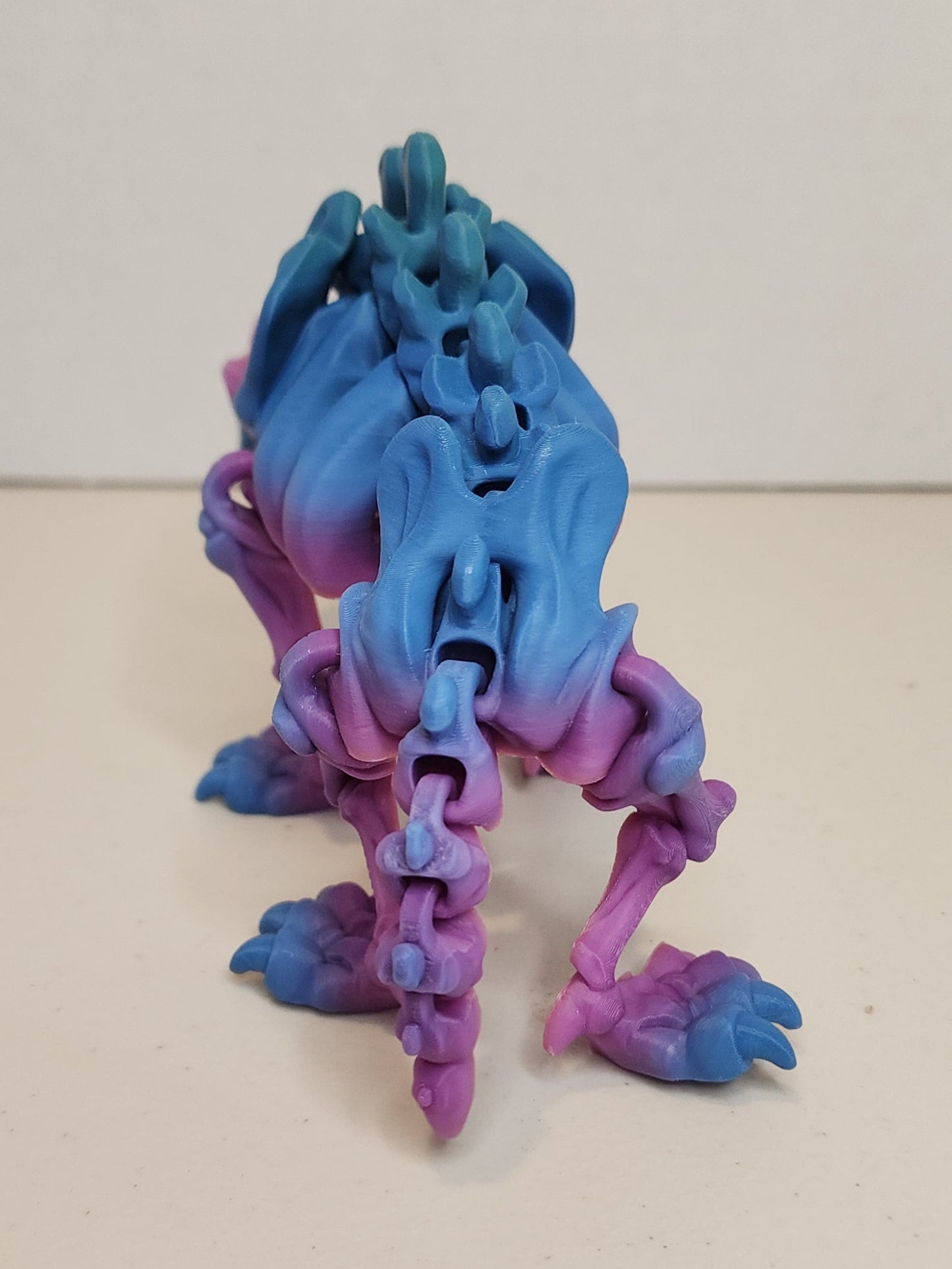 Sabertooth Tiger Skeleton