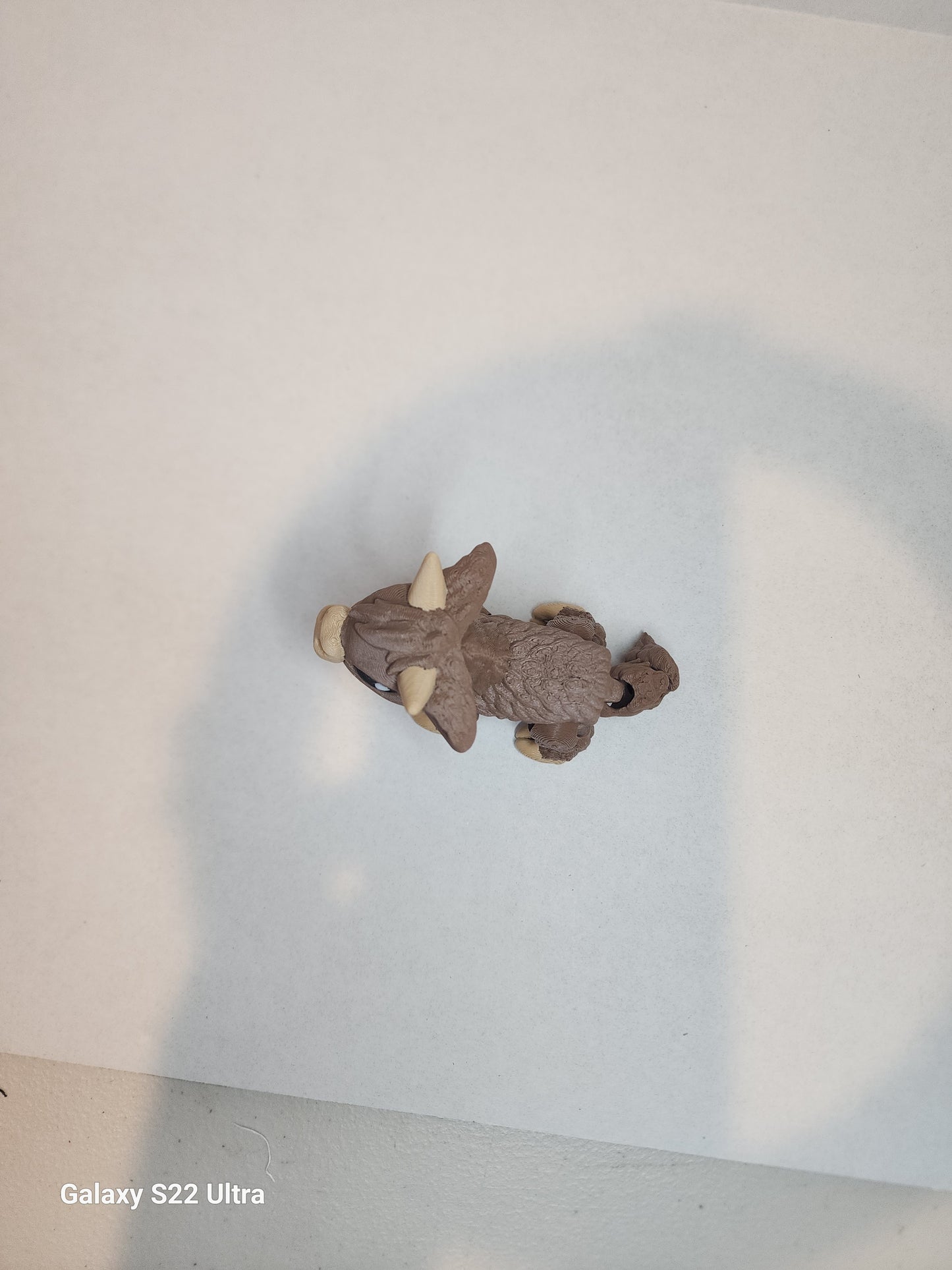 Cow