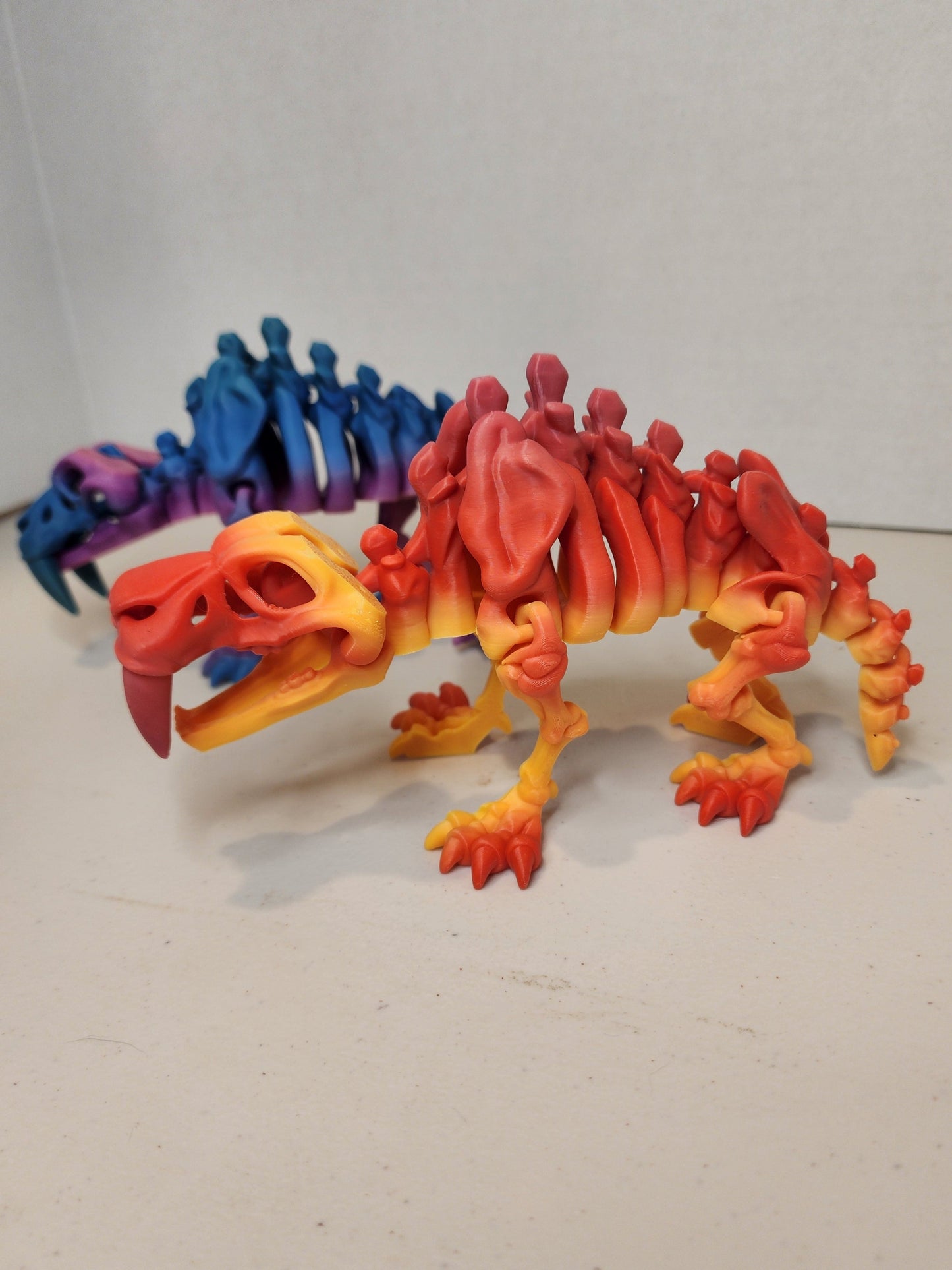 Sabertooth Tiger Skeleton
