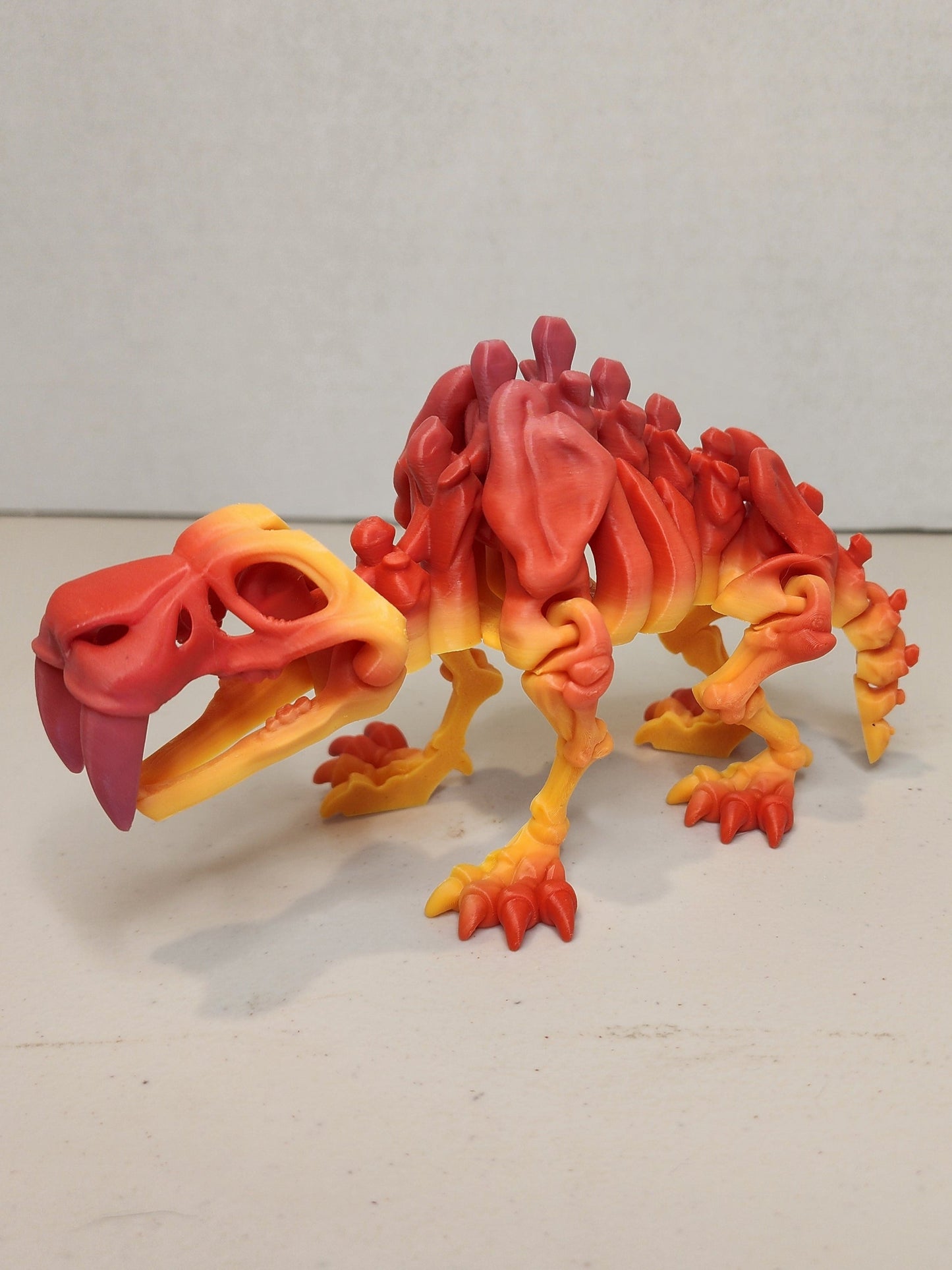 Sabertooth Tiger Skeleton