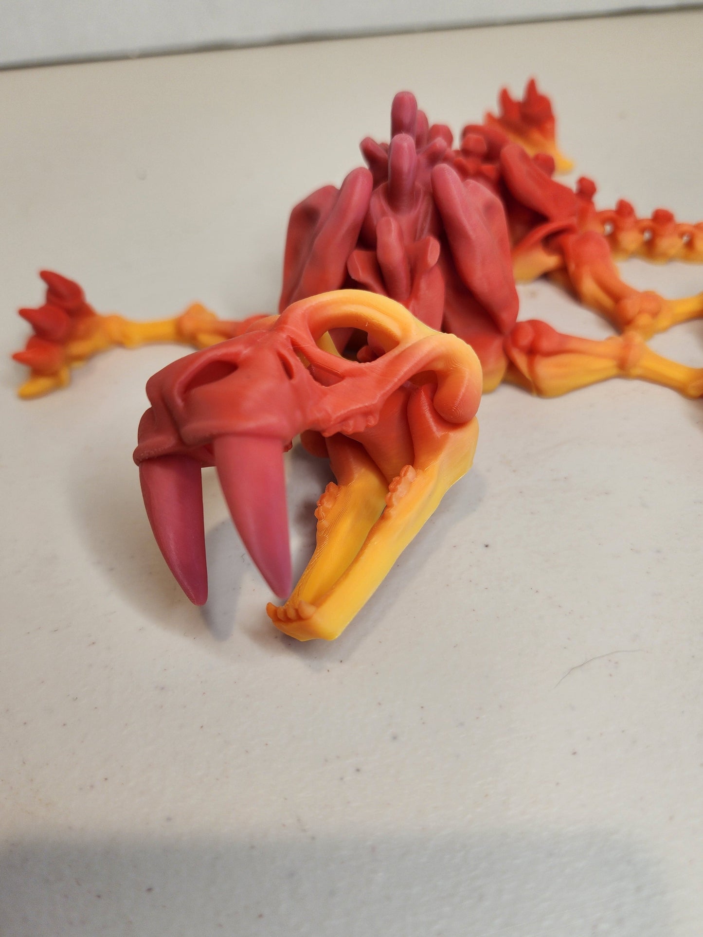 Sabertooth Tiger Skeleton
