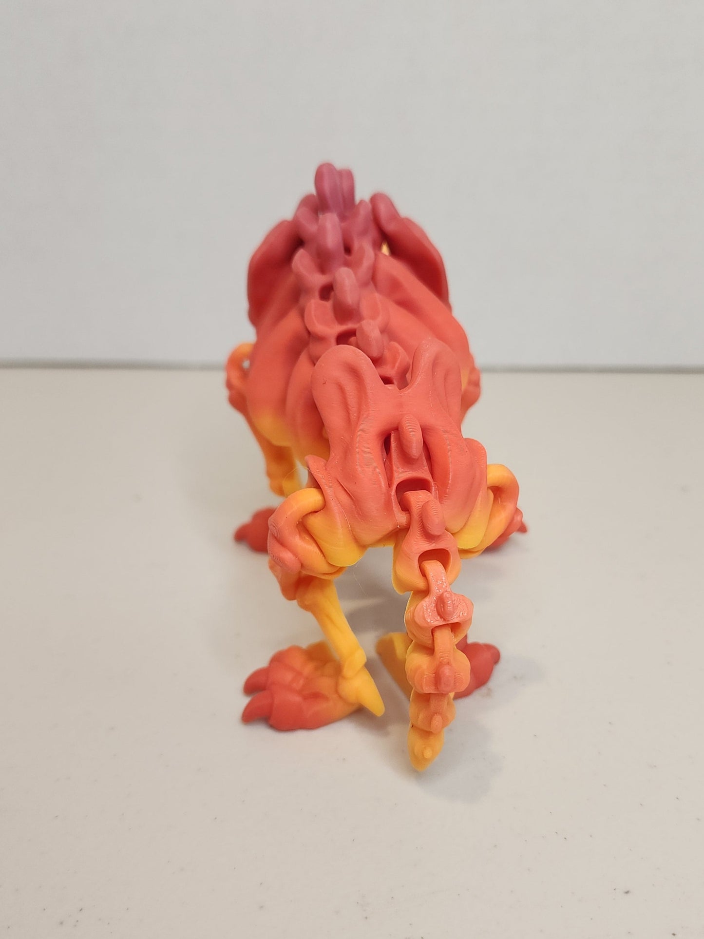 Sabertooth Tiger Skeleton