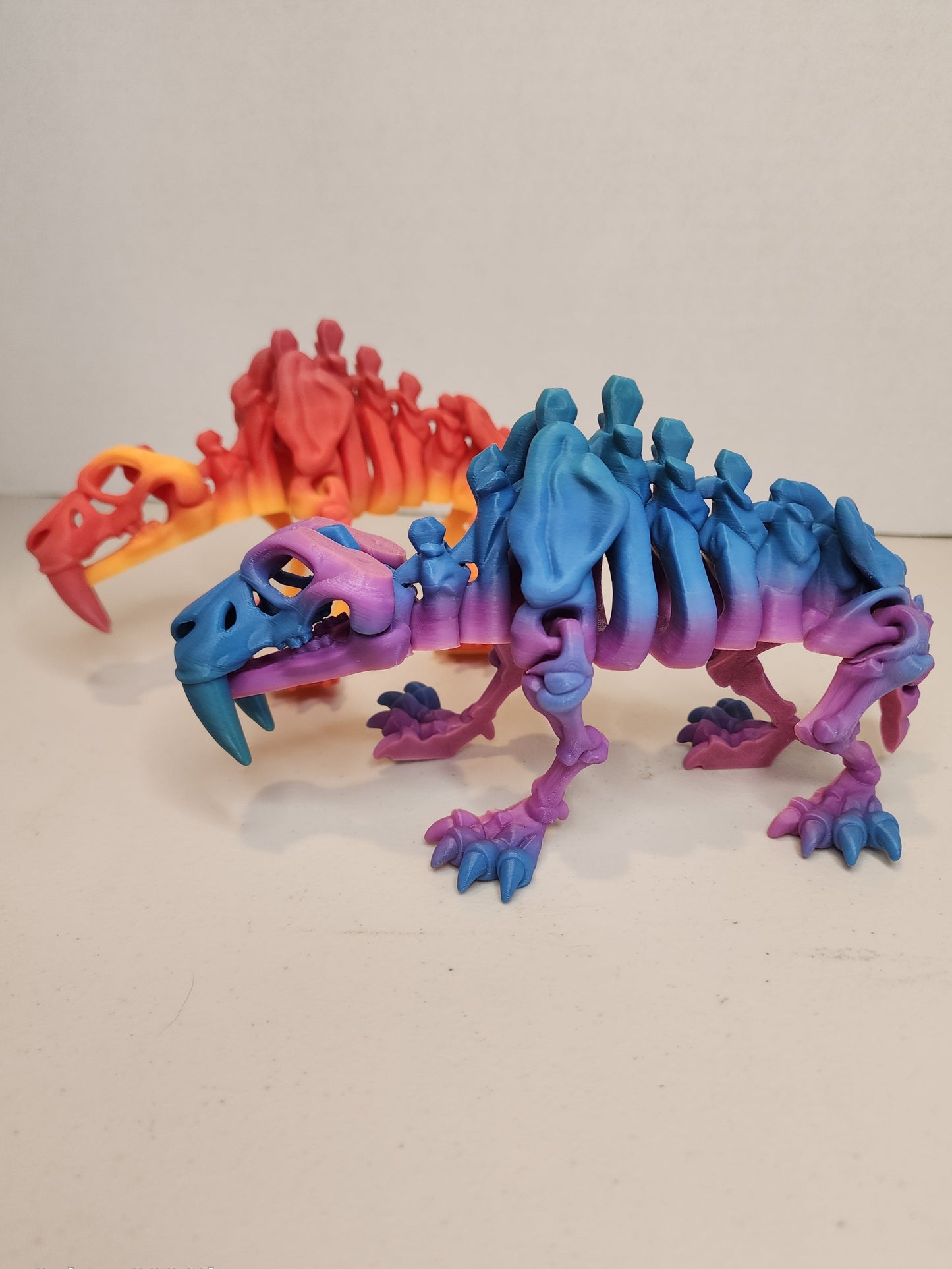 Sabertooth Tiger Skeleton