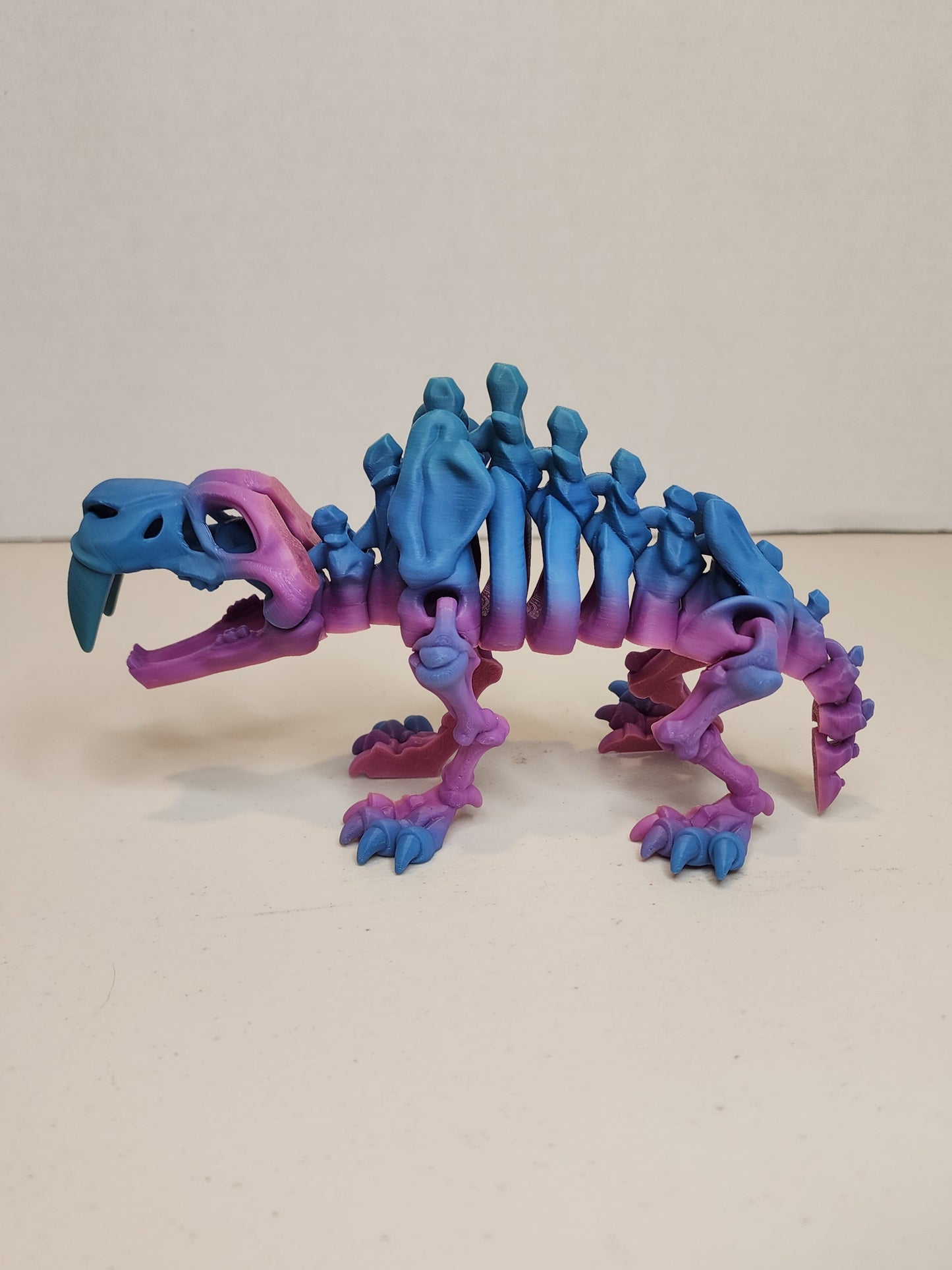 Sabertooth Tiger Skeleton