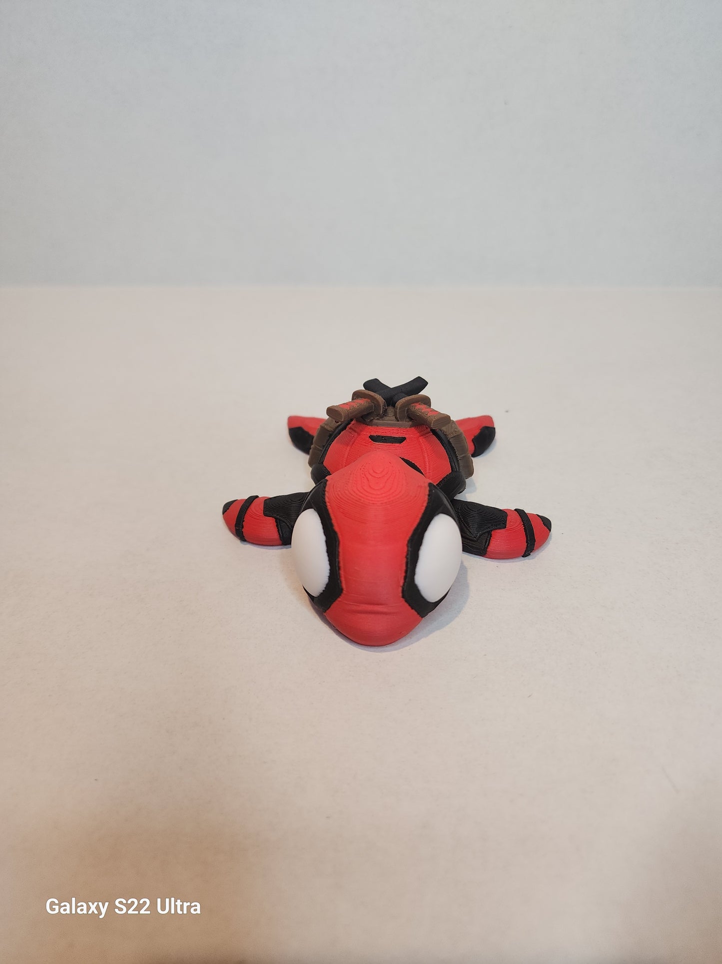 Masked Pool Turtle