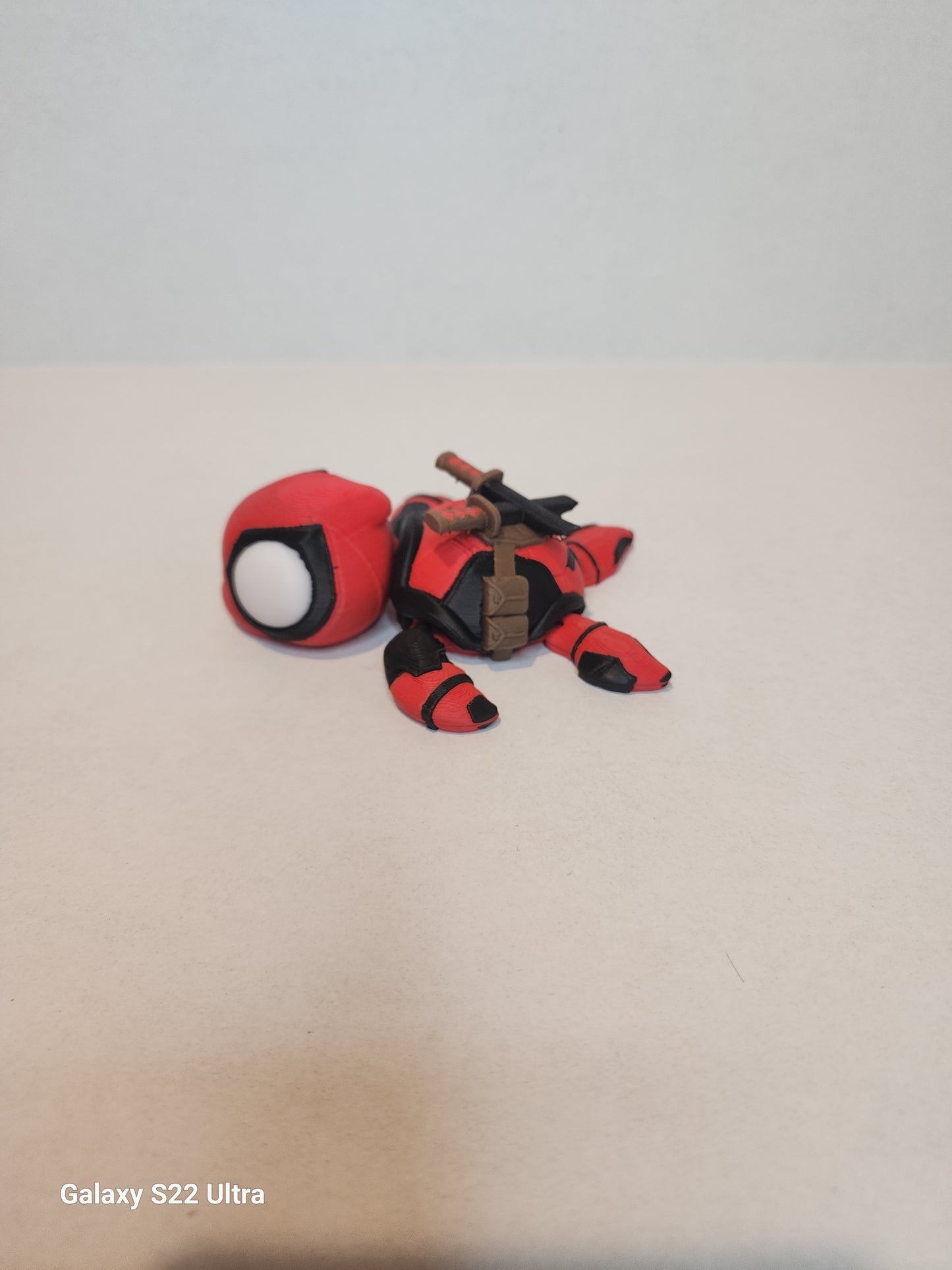 Masked Pool Turtle