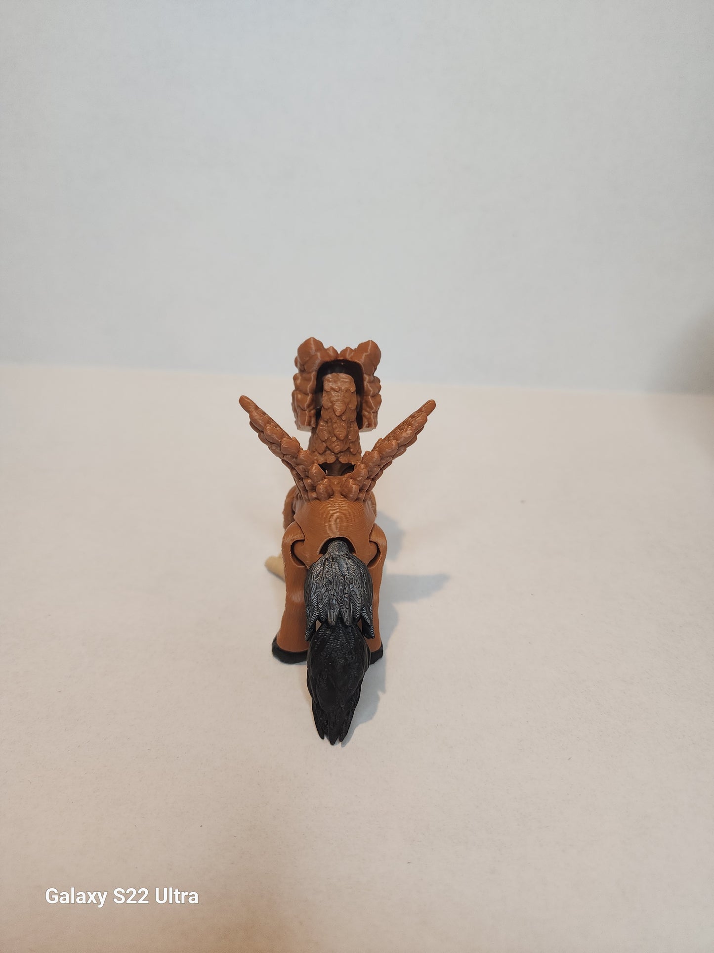 Griffin