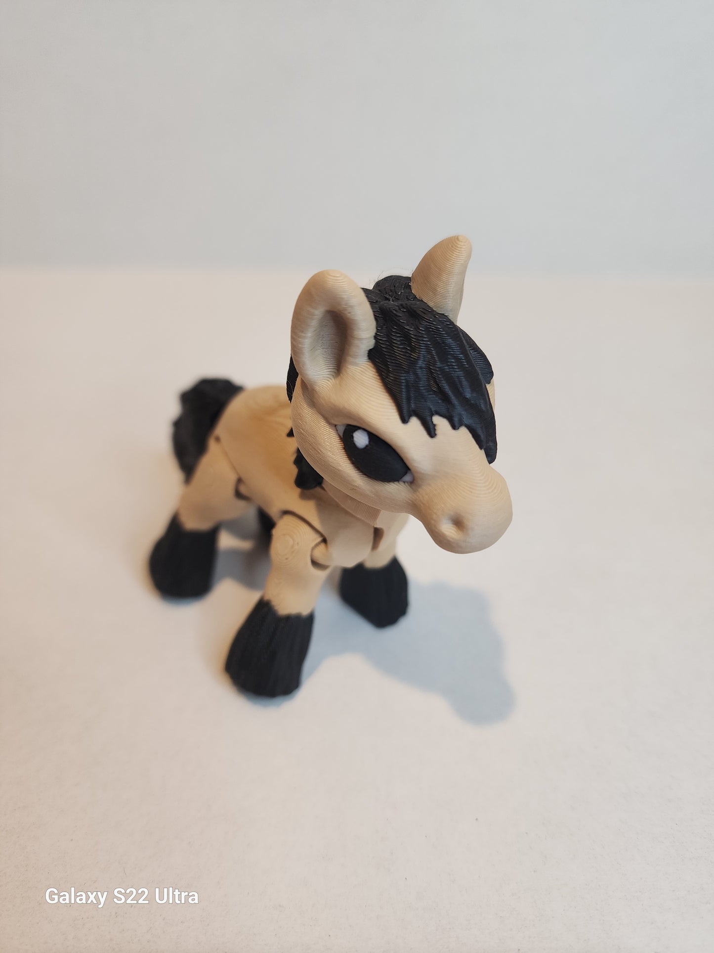 Pony