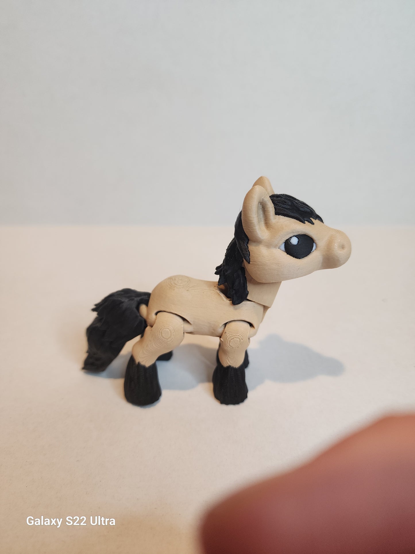 Pony
