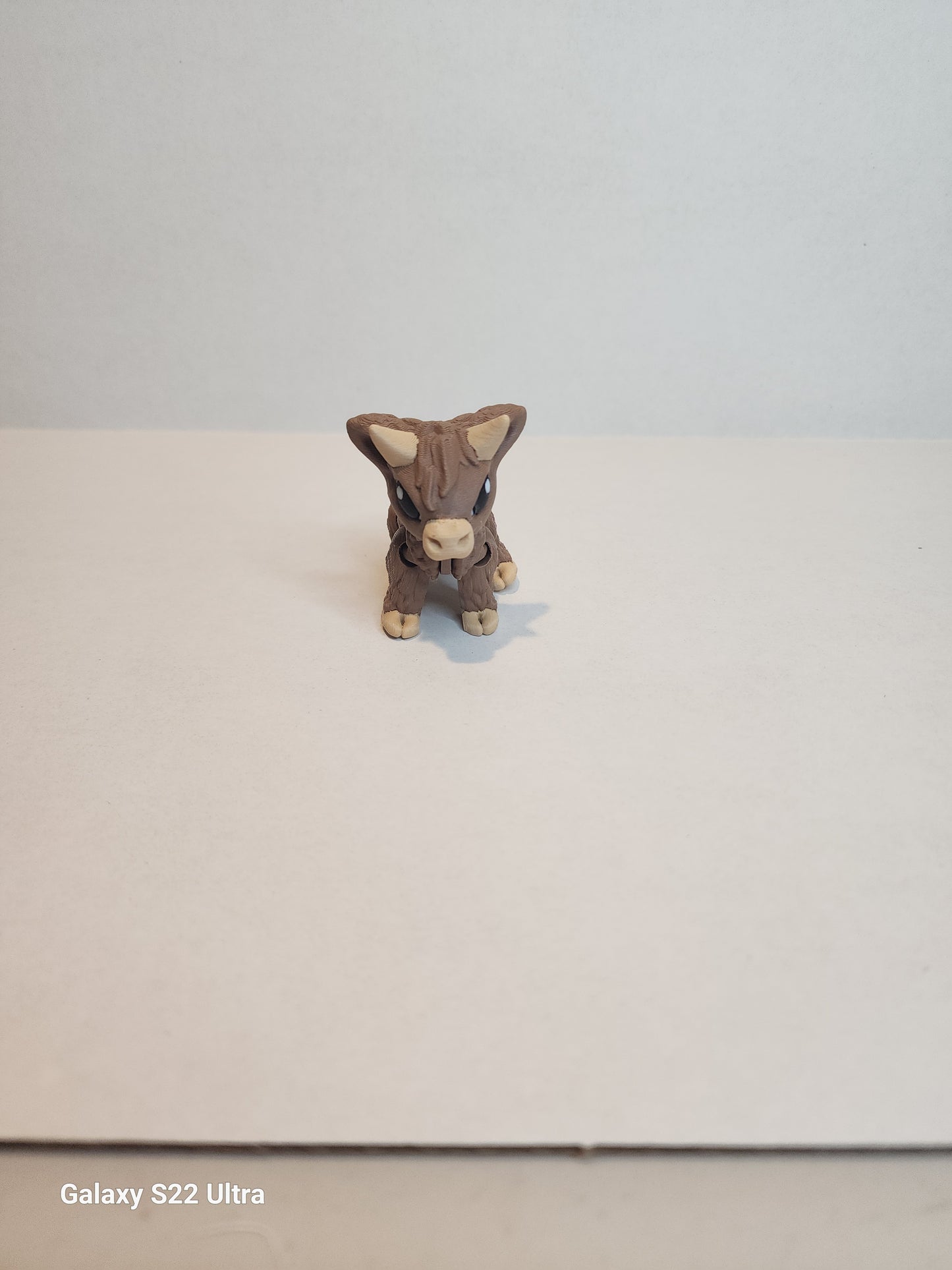 Cow