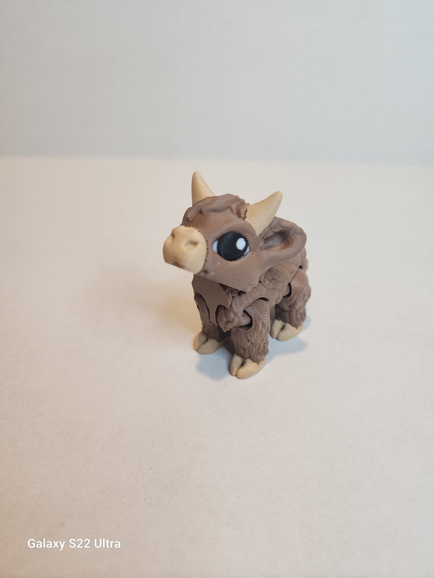 Cow