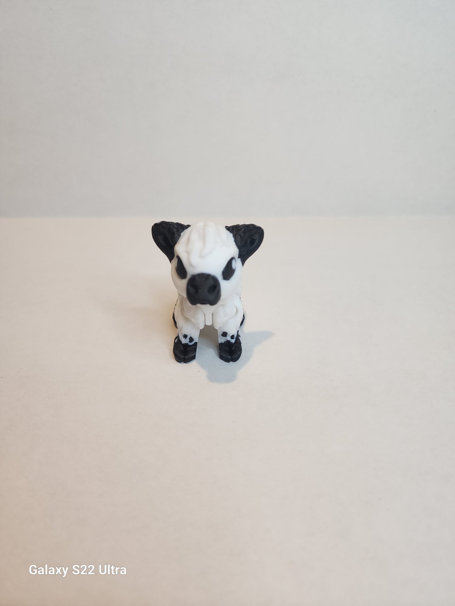 Cow