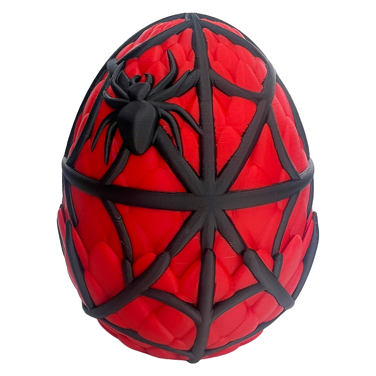 Spider Egg